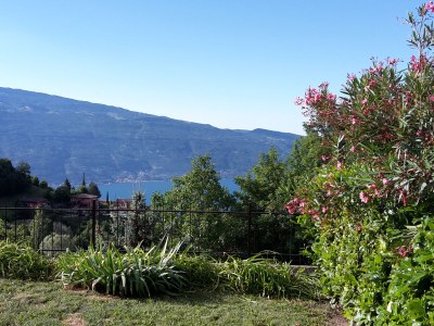 Holiday house Bella Vista - Outdoor photo 10