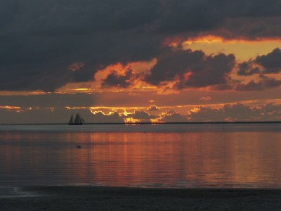 Holiday house Oer de Wjuk - Environment photo 15