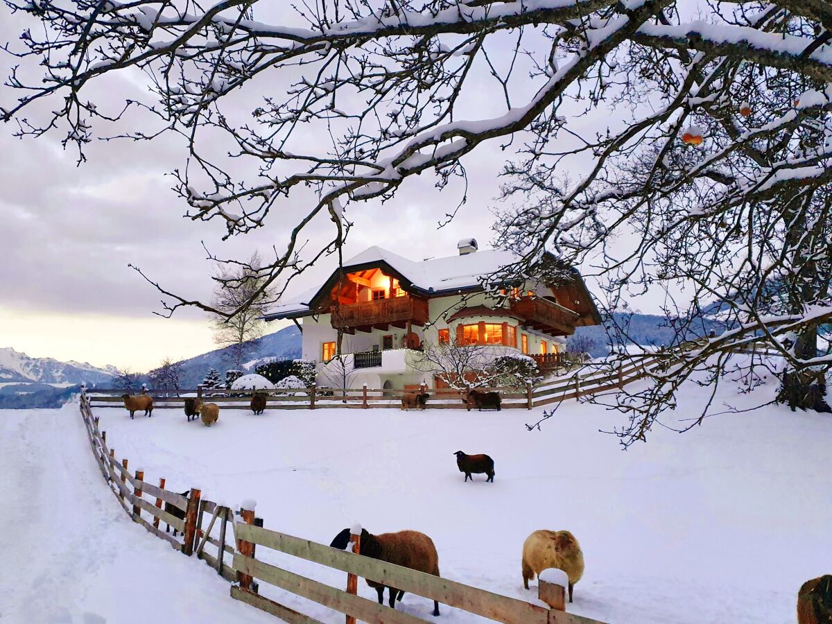 Holiday apartment Oberplunerhof - Ferienwohnung Gitschberg - Outdoor photo 3