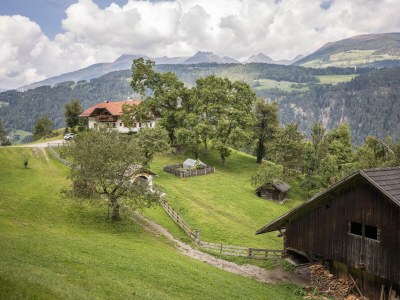 Holiday apartment Oberplunerhof - Ferienwohnung Gitschberg - Outdoor photo 13