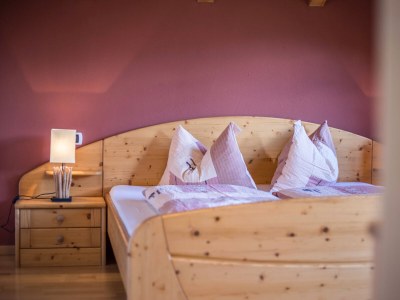 Holiday apartment Oberplunerhof - Ferienwohnung Gitschberg - Features photo 24