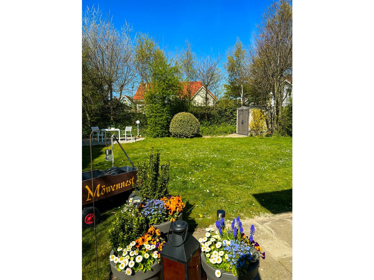 Holiday house MÃ¶wennest - Outdoor photo 3