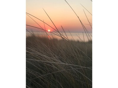 Holiday house MÃ¶wennest - Environment photo 22