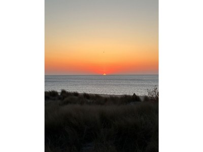 Holiday house MÃ¶wennest - Environment photo 23