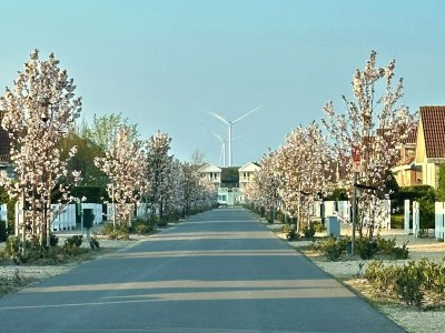 Holiday house MÃ¶wennest - Environment photo 27