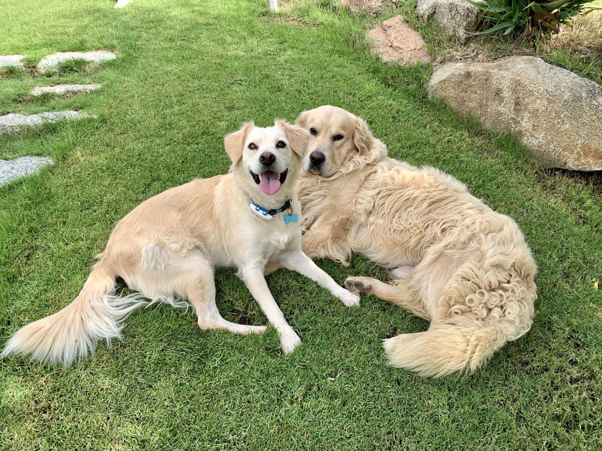 Villa La Casa di Alice - Outdoor photo 2