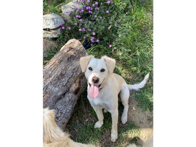 Villa La Casa di Alice - Outdoor photo 12