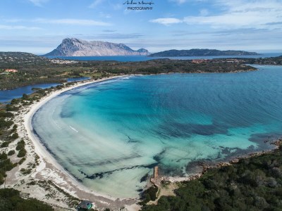 Villa La Casa di Alice - Environment photo 19