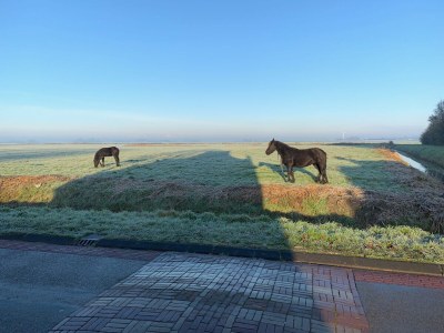 Holiday house Peins Church - Outdoor photo 7