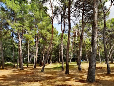 Holiday apartment Augustina - Environment photo 18