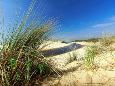 Holiday house Poolside Escape von Arcachon - Environment photo 26