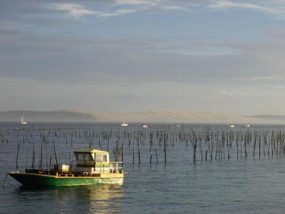 Holiday house Poolside Escape von Arcachon - Environment photo 35