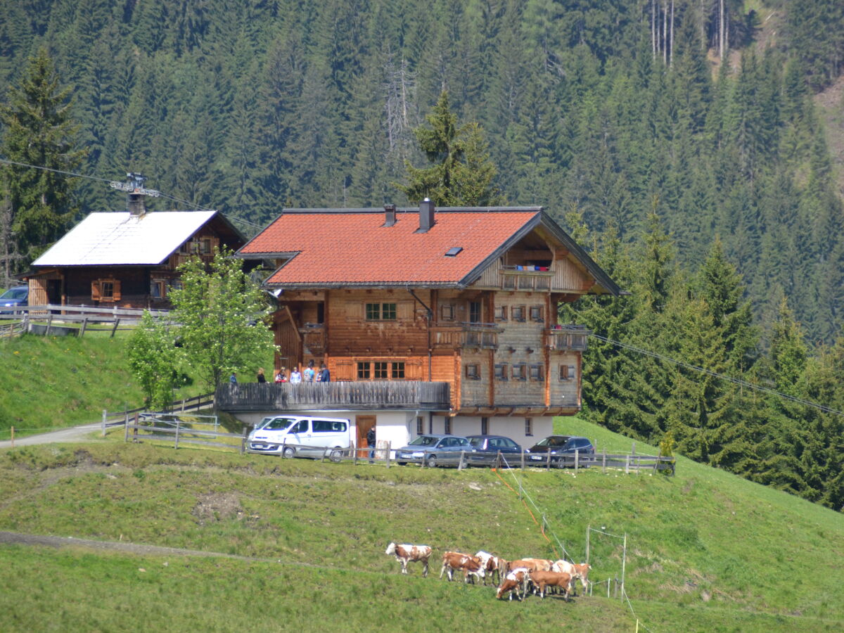 Holiday house HohlriederalmhÃ¼tte - Outdoor photo 3