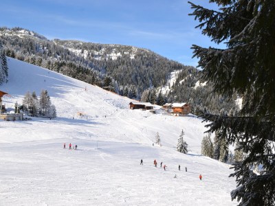 Holiday house HohlriederalmhÃ¼tte - Outdoor photo 6