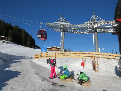 Holiday house HohlriederalmhÃ¼tte - Environment photo 16