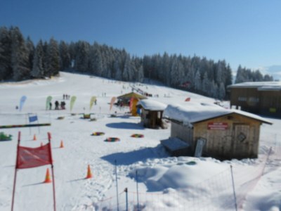 Holiday house HohlriederalmhÃ¼tte - Environment photo 17