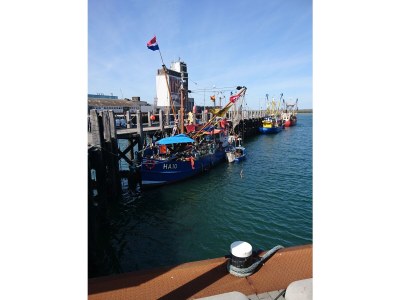 Holiday house Fisher House Breskens - Environment photo 27