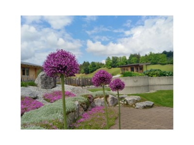 Holiday apartment Farm Kernerbauer - Outdoor photo 6