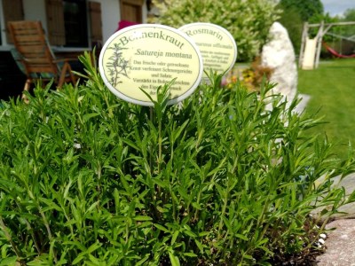 Holiday apartment Farm Kernerbauer - Outdoor photo 9