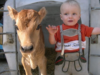 Holiday apartment Farm Kernerbauer - Environment photo 28