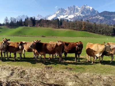 Holiday apartment Farm Kernerbauer - Environment photo 30