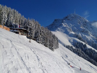 Holiday apartment Farm Kernerbauer - Environment photo 31