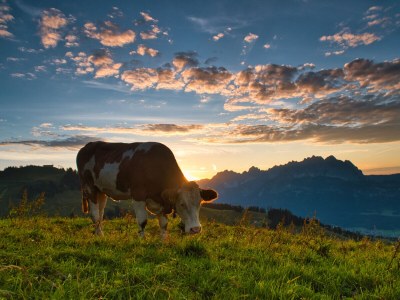 Holiday apartment Farm Kernerbauer - Environment photo 37