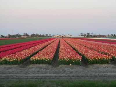 Bungalow Op 't Landtweg 37 - Environment photo 20