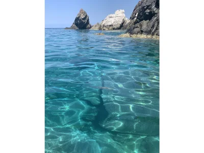 Holiday house Meridiana - Environment photo 33