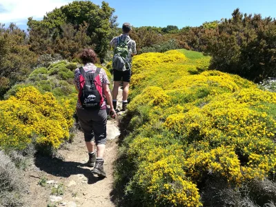 Holiday house Meridiana - Environment photo 38