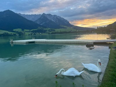 Apartment Edelweiß - Environment photo 29