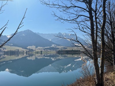 Apartment Edelweiß - Environment photo 31