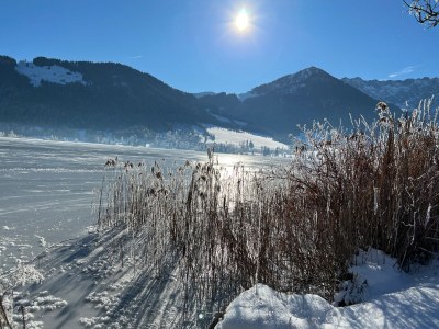 Apartment Edelweiß - Environment photo 32