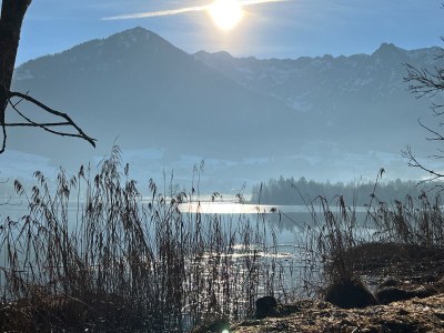 Apartment Edelweiß - Environment photo 33