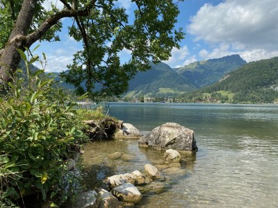 Apartment Edelweiß - Environment photo 34