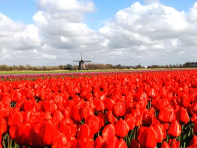 Holiday house Walnut - Environment photo 34