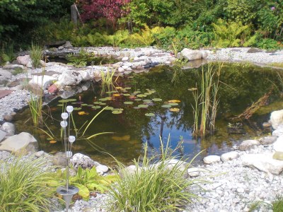 Cottage farm house Carina - Outdoor photo 9