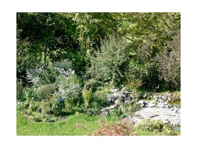 Cottage farm house Carina - Outdoor photo 12