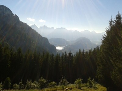 Cottage farm house Carina - Environment photo 30