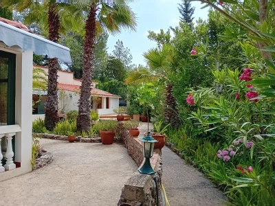 Cottage Laila in Sao bartolomeu de messines -Algarve - Cottage