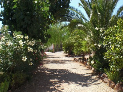 Cottage Laila - Outdoor photo 9