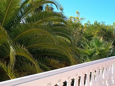 Cottage Laila - Outdoor photo 10