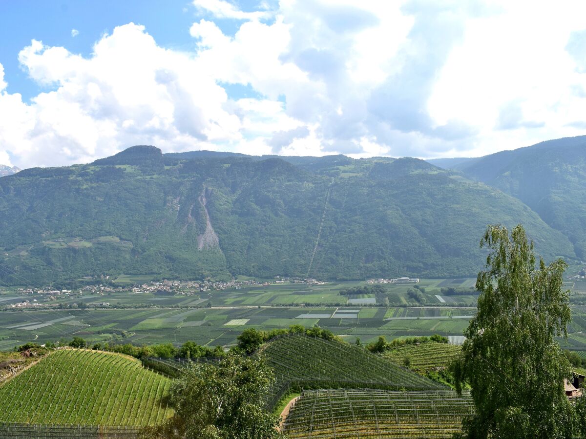 Holiday apartment Castle Werrenberg - Outdoor photo 4