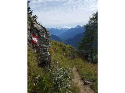 Holiday house Virgentaler Alp - Environment photo 18