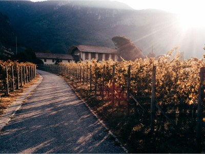 Holiday apartment Gschnofer - Zeder - Outdoor photo 8