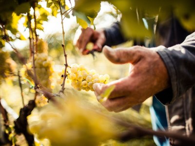 Holiday apartment Gschnofer - Zeder - Outdoor photo 9