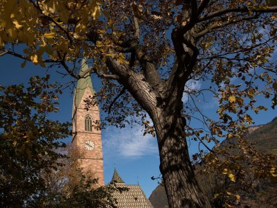 Holiday apartment Gschnofer - Zeder - Environment photo 17