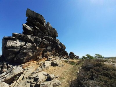 Apartment Comfort in Central Ballenstedt - Environment photo 25