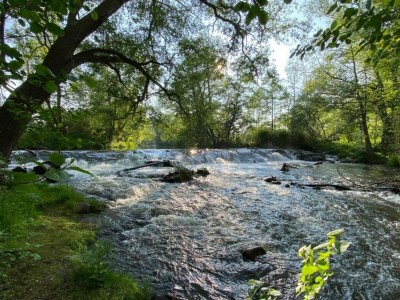 Apartment Comfort in Central Ballenstedt - Environment photo 26