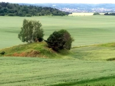 Apartment Comfort in Central Ballenstedt - Environment photo 29